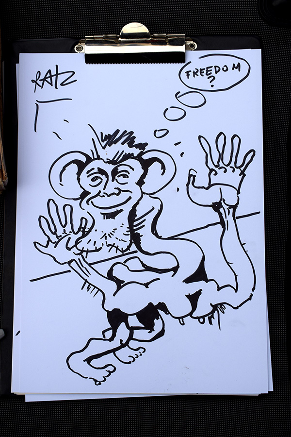 ratz